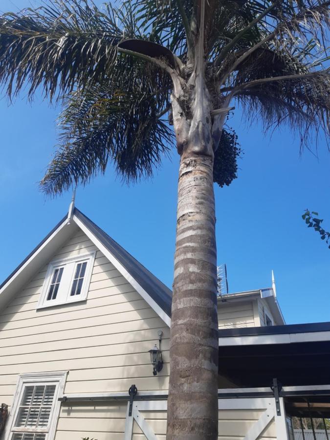 Harbour View Cottage Auckland Esterno foto
